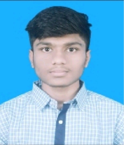 Mrinal Madhav Agarwal